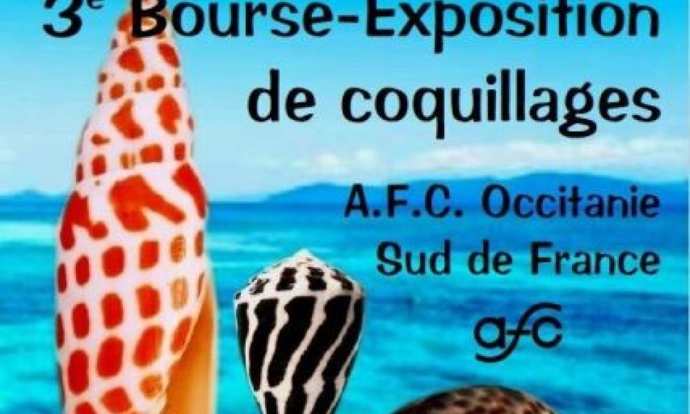 3e Bourse-Exposition de coquillages