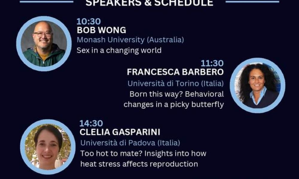Animal Behavior in a Fast Changing World