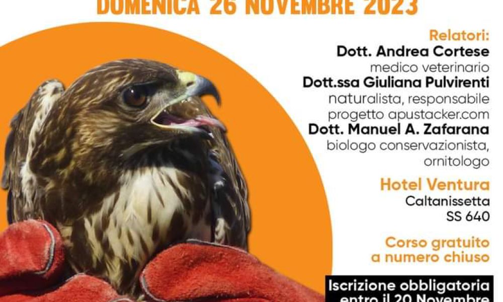 Formation Course - Wildlife Rescue